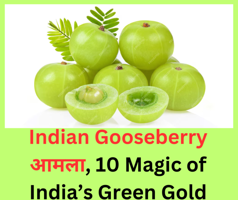 Indian Gooseberry आमला, 10 Magic of India’s Green Gold